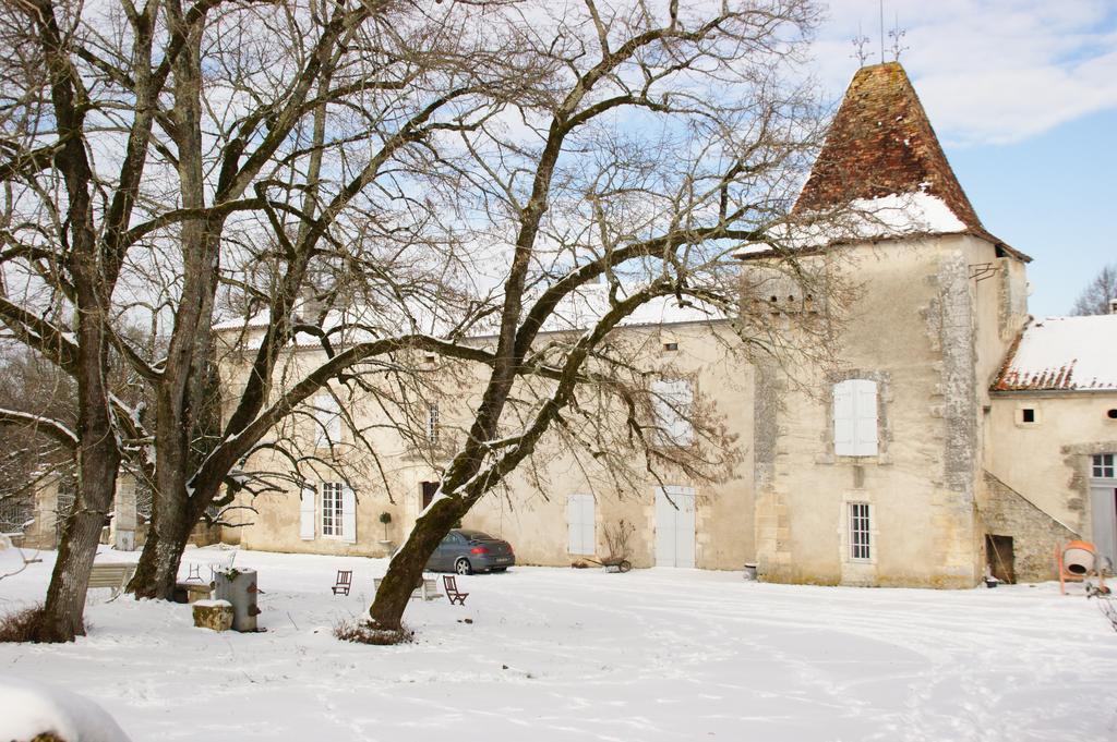 Chateau De La Combe Puyrenier Exterior photo